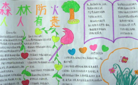 winsnap汉化修改版