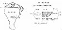 开元国际app安卓版二维码