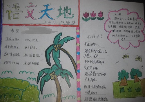 10秒拍拍