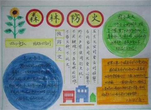 666cc彩票app安卓版二维码