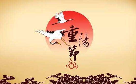 澳门第一娱乐娱城app安卓版二维码
