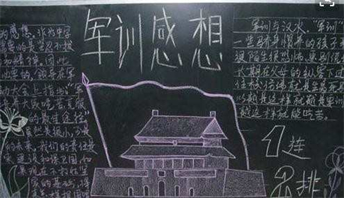 头条搜索极速版