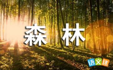 NVIDIA GeForce Drivers Beta显卡驱动win7