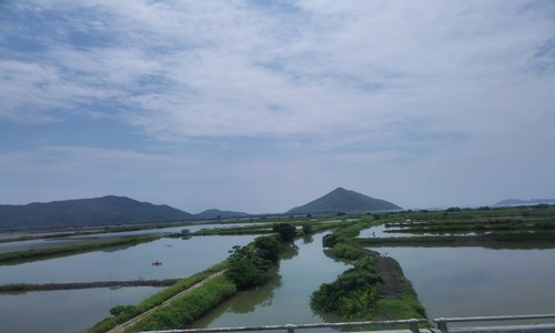 极品飞车复仇2025最新版警匪追逐激烈场景