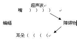 eman安卓版