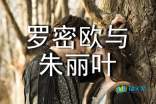 别踩白块儿
