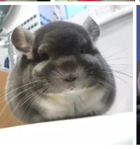 河南汽车维修平台APP