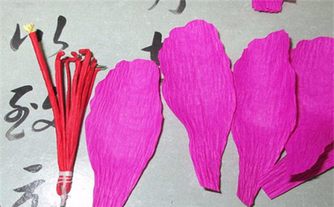 IM电竞appV3.8专业版