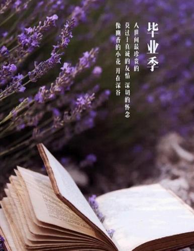 武侠挂机传ios无限元宝