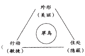 eman安卓版