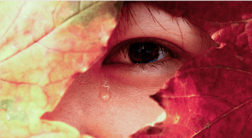 澳门626969网站appV3.9专业版