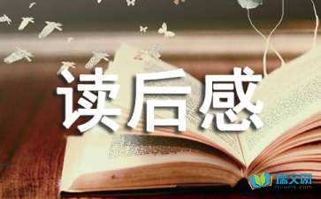 神舟K480A-i7G 笔记本苹果系统全部驱动