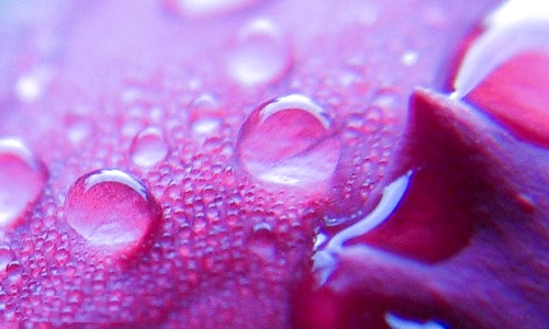 河南汽车维修平台APP