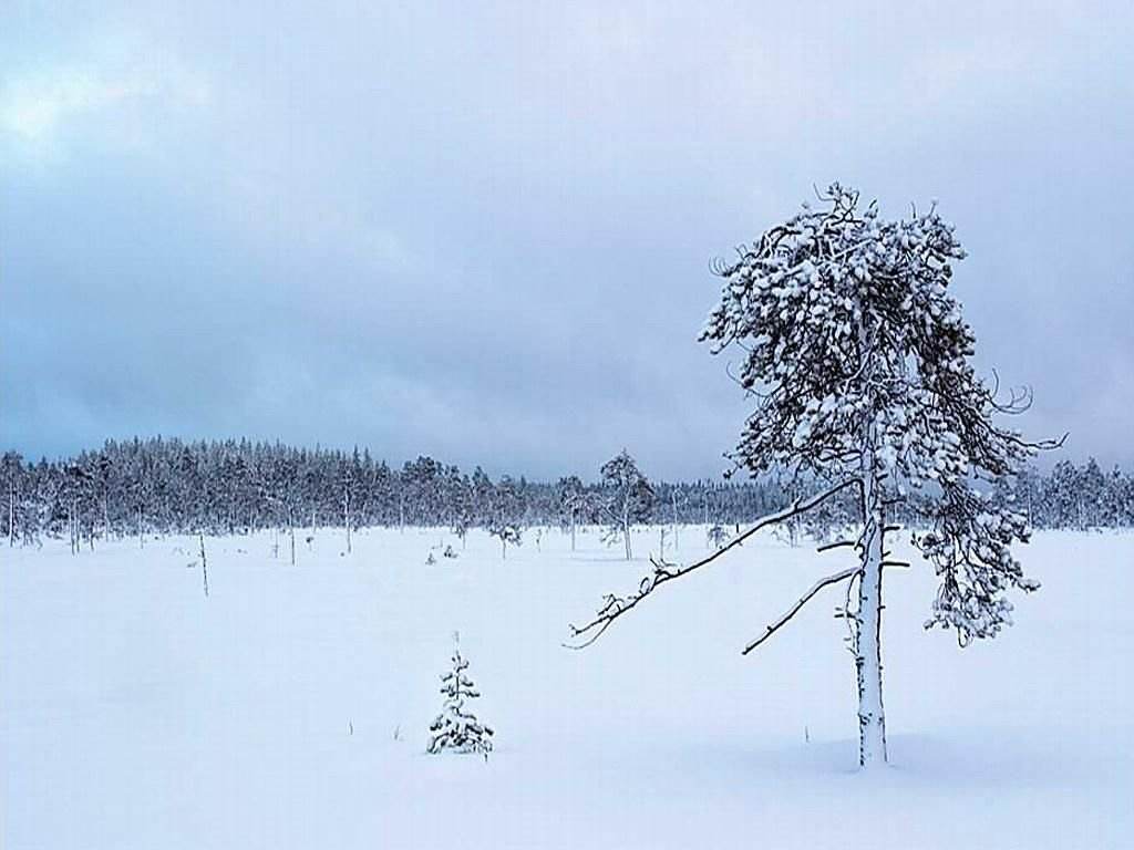 oddsportalapp最新版基地建设与种植系统
