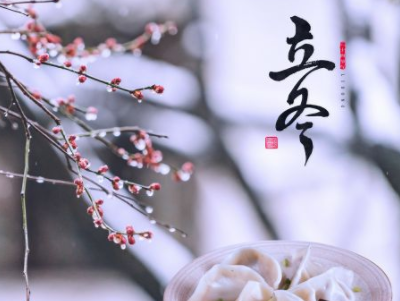 fscapture汉化修改版