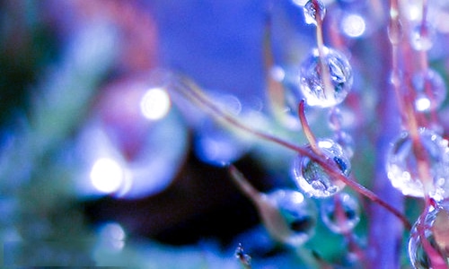 河南汽车维修平台APP