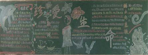 鸿博注册