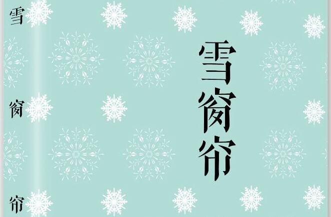 bobappV8.7专业版