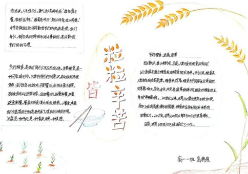 vic网页版V1.4专业版