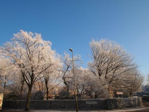 外围投注网站app