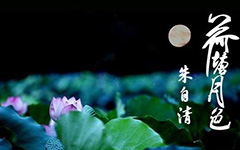 迷你简特黑