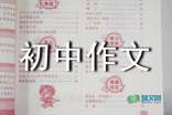 Android壁纸打包合集