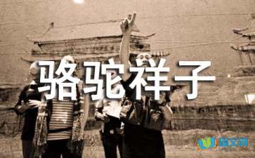 贵州药材APP