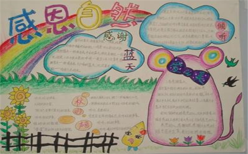 OG真人appV2.9专业版