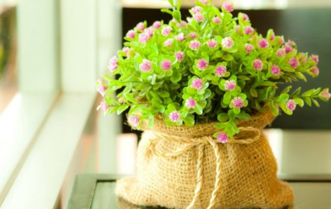 云开体育app官网入口登录下载V1.5专业版