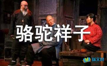 macrium reflect免费版(磁盘映像软件)