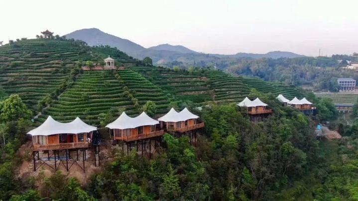 欧赔宝最新版武学战斗演示