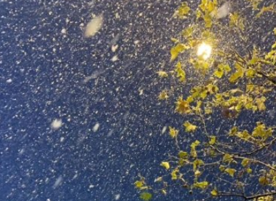 bti体育appV4.8专业版