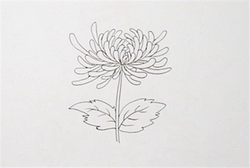 谷歌地图2024高清卫星地图手机版