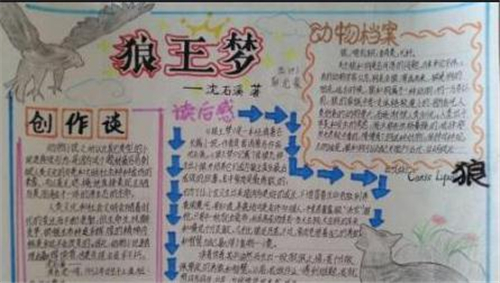 eman安卓版