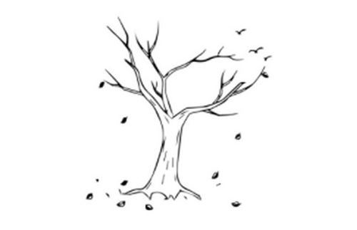 kaiyun.app应用下载V6.4专业版