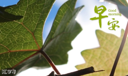 开云kaiyun官网及登录