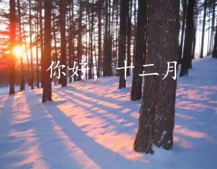 合乐彩票注册V6.5专业版