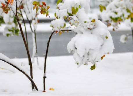 可牛杀毒插件清理工具