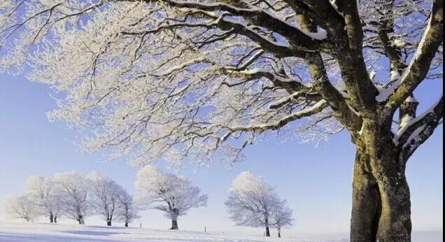 全讯资讯网app2025最新版末世都市场景