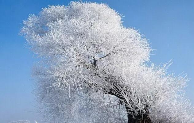 太阳集团tyc151娱乐appV6.8专业版