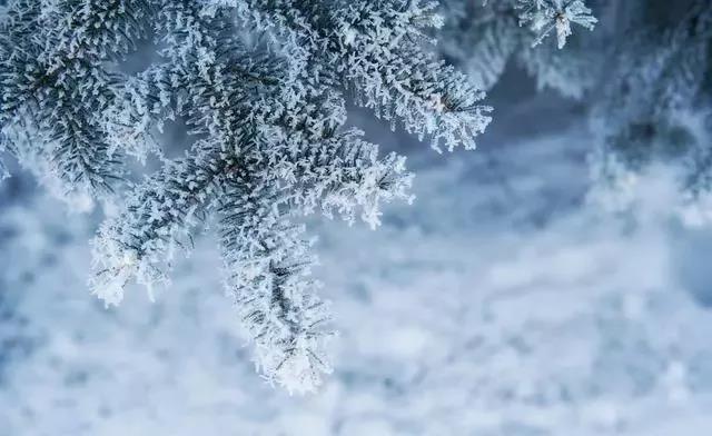 Ricoh理光Aficio MP C2010多功能一体机Network TWAIN驱动