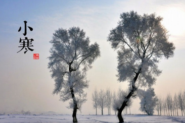 贵州药材APP