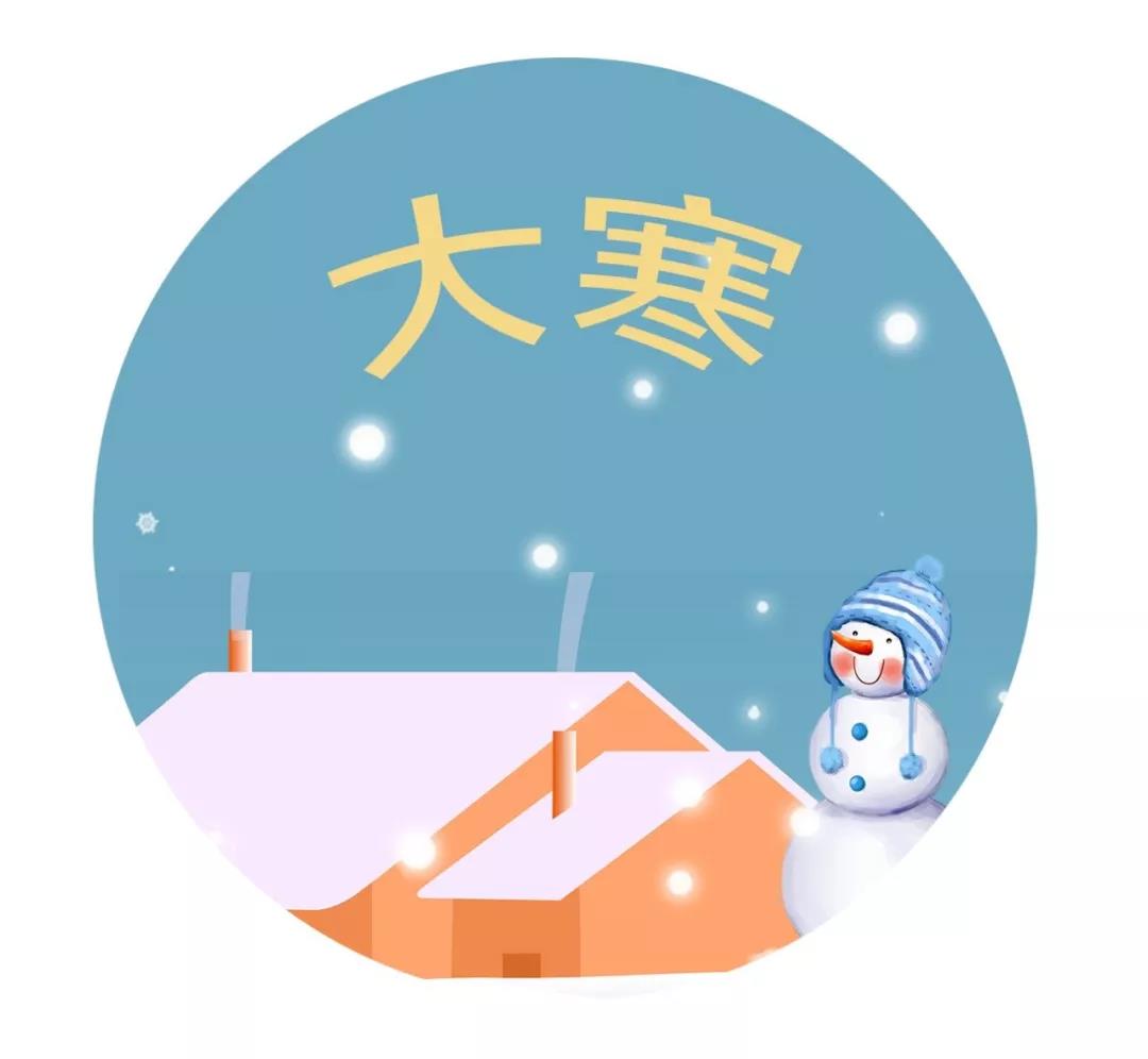 viewcompanion pro 绿色版