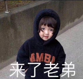 winkawaks模拟器中文版