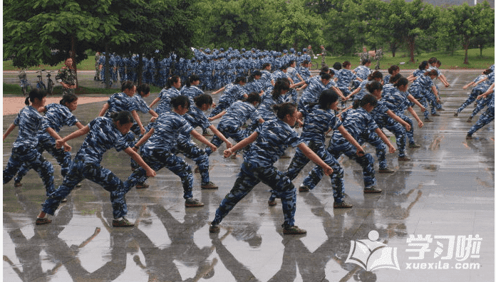 12博国际V7.3专业版