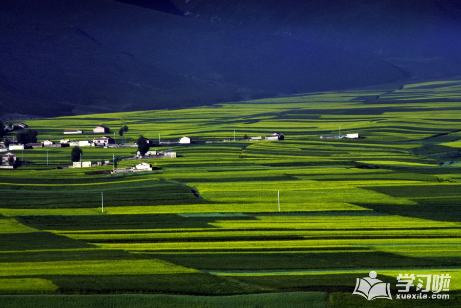 多玩魔兽盒子(魔兽插件)