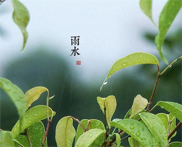云开体育app官方下载安装V1.9专业版