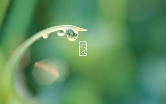 小熊洗车APP