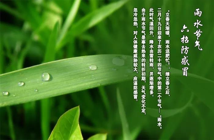 eman安卓版