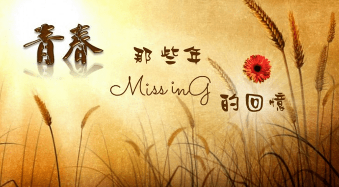 河南汽车维修平台APP